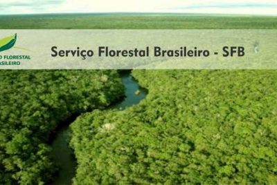 Serviço Florestal Brasileiro dará continuidade ao Inventário Florestal Nacional na Amazônia