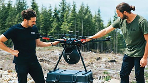 Drones podem plantar árvores e reflorestar o planeta